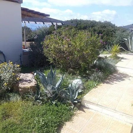 Apartment Terramara *